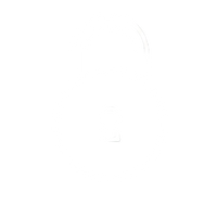 Secure checkout with SSL encryption.